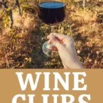 Georgia Wine Clubs | Georgia Wine | Wine Tasting Georgia | Georgia Vineyard | Georgia Wine Trail | Georgia Wine Tasting | Best Georgia Wines | #wine #wineclub #caseofwine #Georgia