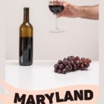 Maryland Wine Clubs | Maryland Wine | Wine Tasting Maryland | Maryland Vineyard | Maryland Wine Trail | Maryland Wine Tasting | Best Maryland Wines | #wine #wineclub #caseofwine #Maryland