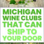 Michigan Wine Clubs | Michigan Wine | Wine Tasting Michigan | Michigan Vineyard | Michigan Wine Trail | Michigan Wine Tasting | Best Michigan Wines | #wine #wineclub #caseofwine #Michigan
