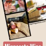 Minnesota Wine Clubs | Minnesota Wine | Wine Tasting Minnesota | Minnesota Vineyard | Minnesota Wine Trail | Minnesota Wine Tasting | Best Minnesota Wines | #wine #wineclub #caseofwine #Minnesota