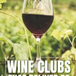 Nevada Wine Clubs | Nevada Wine | Wine Tasting Nevada | Nevada Vineyard | Nevada Wine Trail | Nevada Wine Tasting | Best Nevada Wines | #wine #wineclub #caseofwine #Nevada
