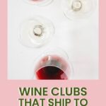 New Jersey Wine Clubs | New Jersey Wine | Wine Tasting New Jersey | New Jersey Vineyard | New Jersey Wine Trail | New Jersey Wine Tasting | Best New Jersey Wines | #wine #wineclub #caseofwine #New Jersey