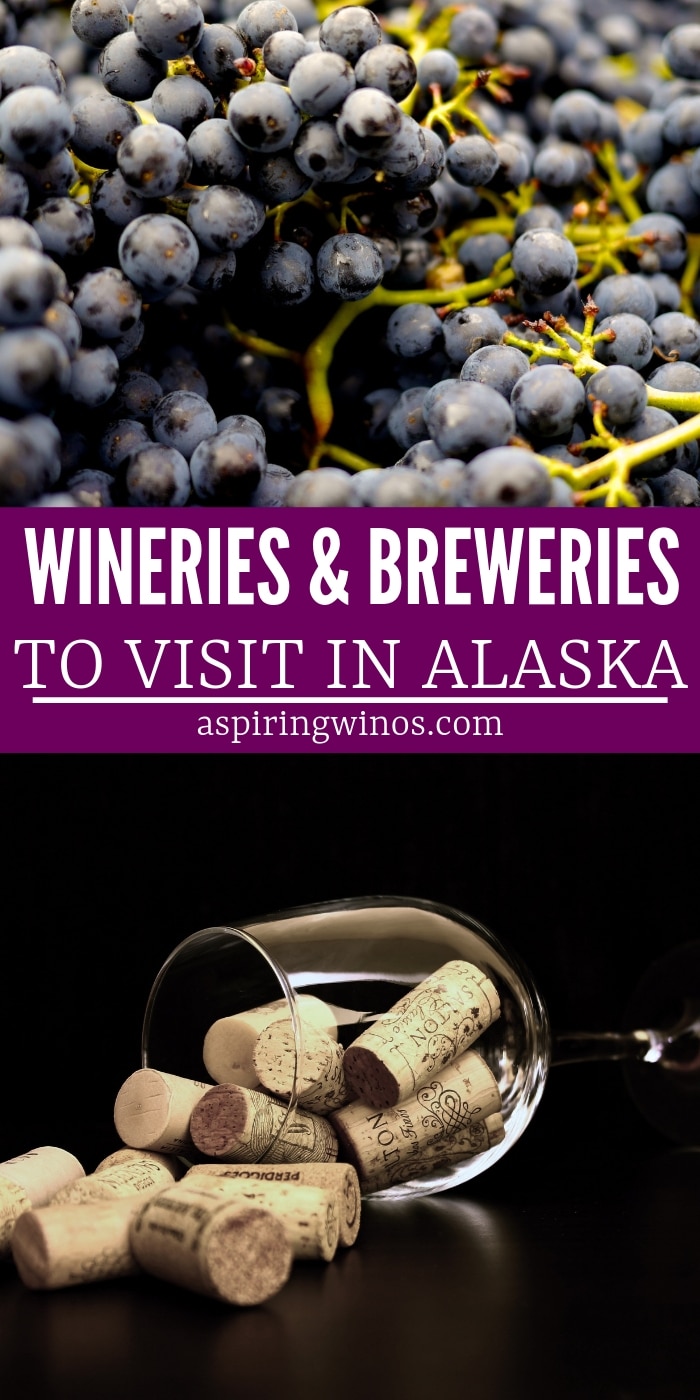 Wineries & Breweries to Visit in Alaska | Places to Visit in Alaska | Best Wineries and Breweries in Alaska | Wine and Beer travel | Where to Drink Wine and Beer in Alaska | #wine #wineries #breweries #beer #alaska