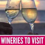 Add these Hawaiian wineries and breweries to your travel bucket list! These #wineries to visit in #hawaii will spice up your trip and you'll learn all about viticulture on the islands, and the creative ways they have to grow grapes. Go #winetasting and enjoy the huge variety of hybrids, traditional and fruit wines, while you vacation in the sunshine. You'll be able to wear an amazing outfit, given the climate, too!