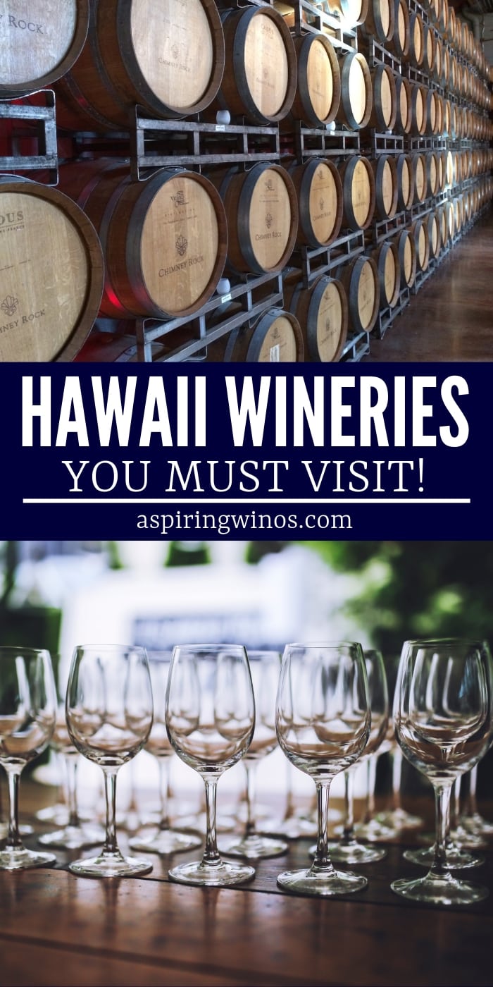 Add these Hawaiian wineries and breweries to your travel bucket list! These #wineries to visit in #hawaii will spice up your trip and you'll learn all about viticulture on the islands, and the creative ways they have to grow grapes. Go #winetasting and enjoy the huge variety of hybrids, traditional and fruit wines, while you vacation in the sunshine. You'll be able to wear an amazing outfit, given the climate, too! #maui #aloha