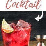 Woo Woo Cocktail | Woo Woo Cocktail Recipe | Cocktail Recipe | Cranberry Cocktail | Vodka Cocktail Recipes #WooWooCocktail #WooWooCocktailRecipe #CocktailRecipe #CranberryCocktails #VodkaCocktails