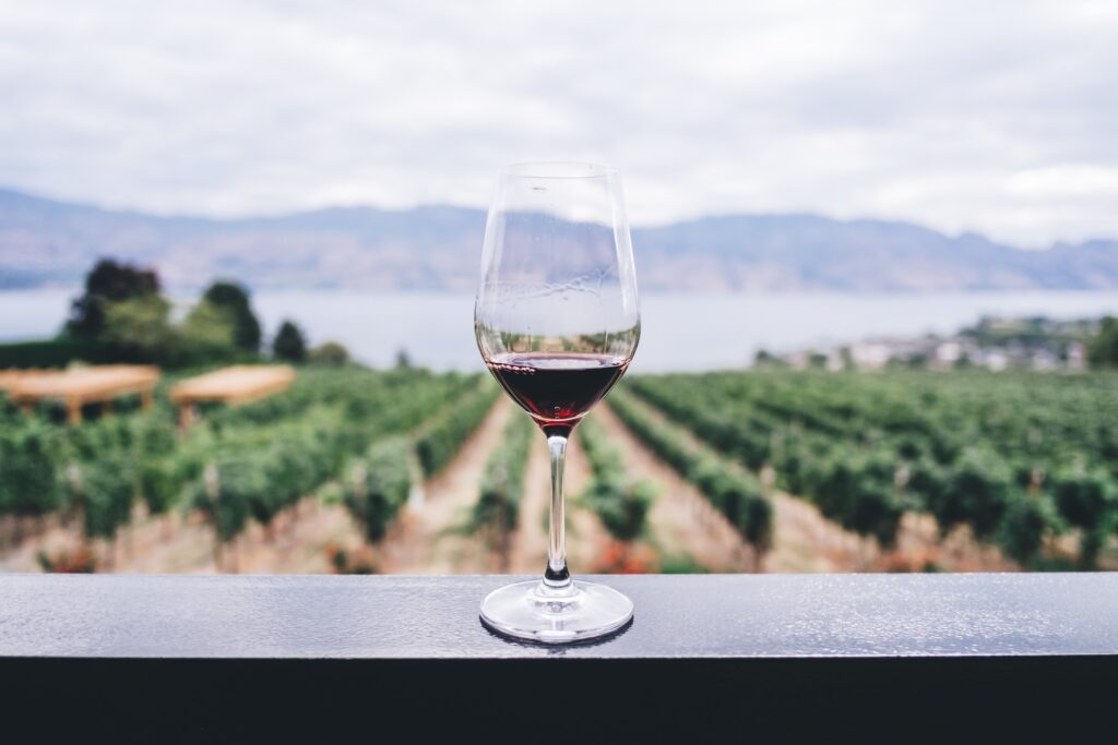 Wine glass overlooking a vineyard in BC, Canada