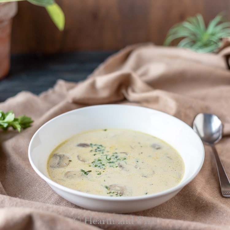 Mushroom Dishes to Pair with Pinot Noir - Cream of Mushroom Soup