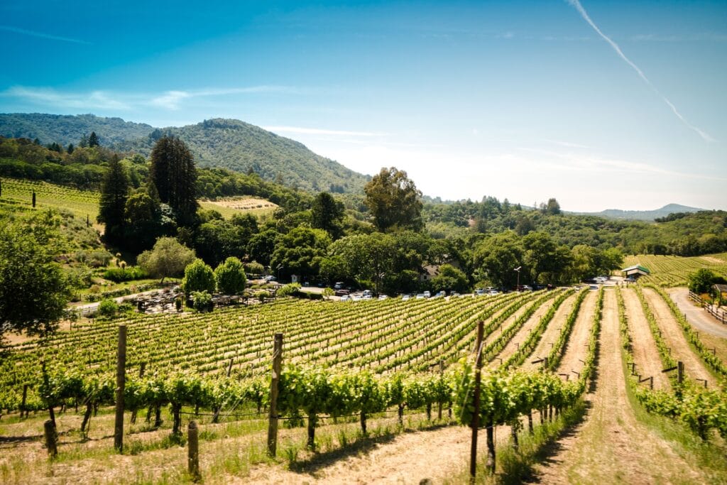 California Wine region