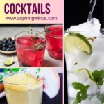 Discover the Best Gin and Tonic Cocktails | Gin and Tonic Cocktails | Unique and Classic Gin and Tonic Cocktails To Serve Up | Add a twist to next happy hour with these Gin and Tonic Cocktails | Gin and tonic cocktail recipes #Gin $GinAndTonics #Cocktails #CocktailRecipe #HappyHour