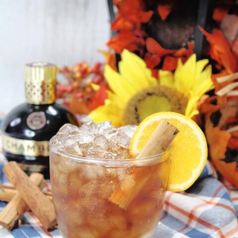 Orange Ginger Rum Spicy Fall Cocktail