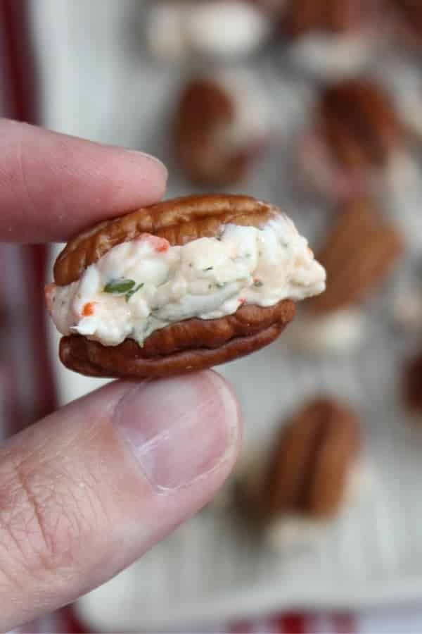 Bite Size Pecan Cheese Ball Bites